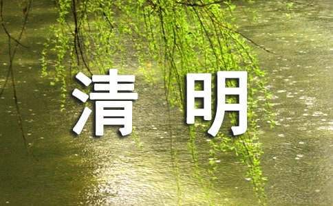 绳梯训练篮球_2
